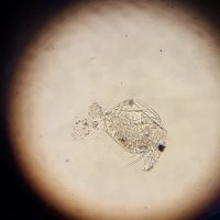 img-20180702-wa0011