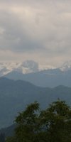 img_8010