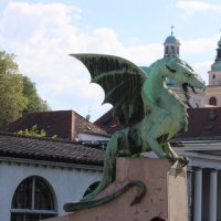 img_8145
